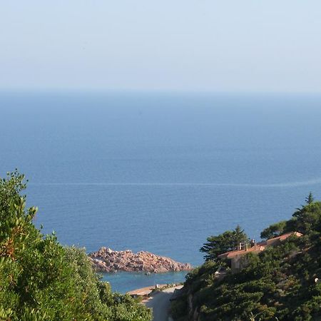 Sardinia Sea Vacation Villa Costa Paradiso Rum bild
